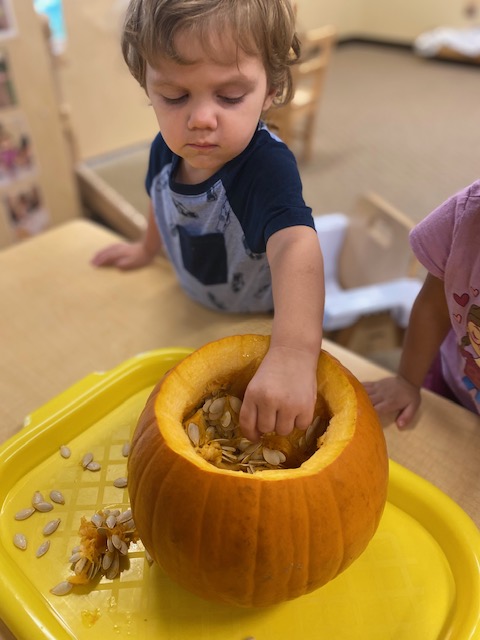 A child carving a pumpkin.
